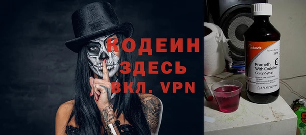 индика Армянск