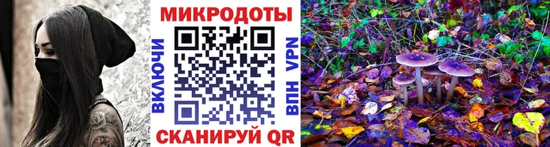 магазин продажи   Луза  Псилоцибиновые грибы Cubensis 